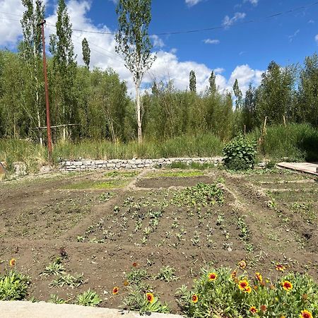 Nature Palace Farmstay She Buitenkant foto