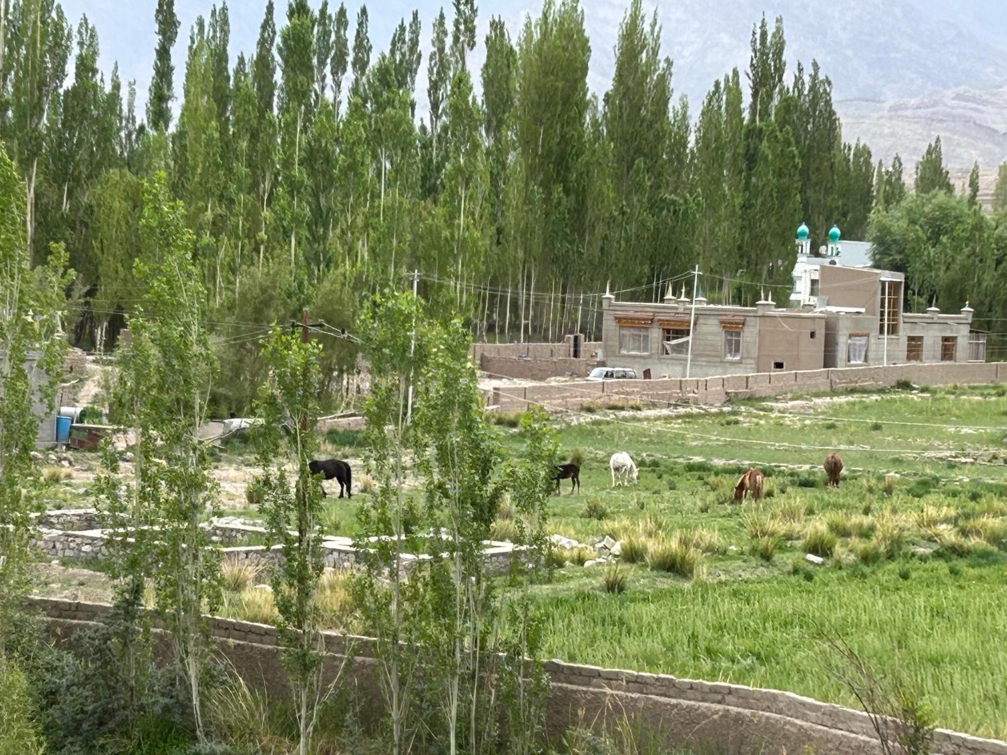 Nature Palace Farmstay She Buitenkant foto